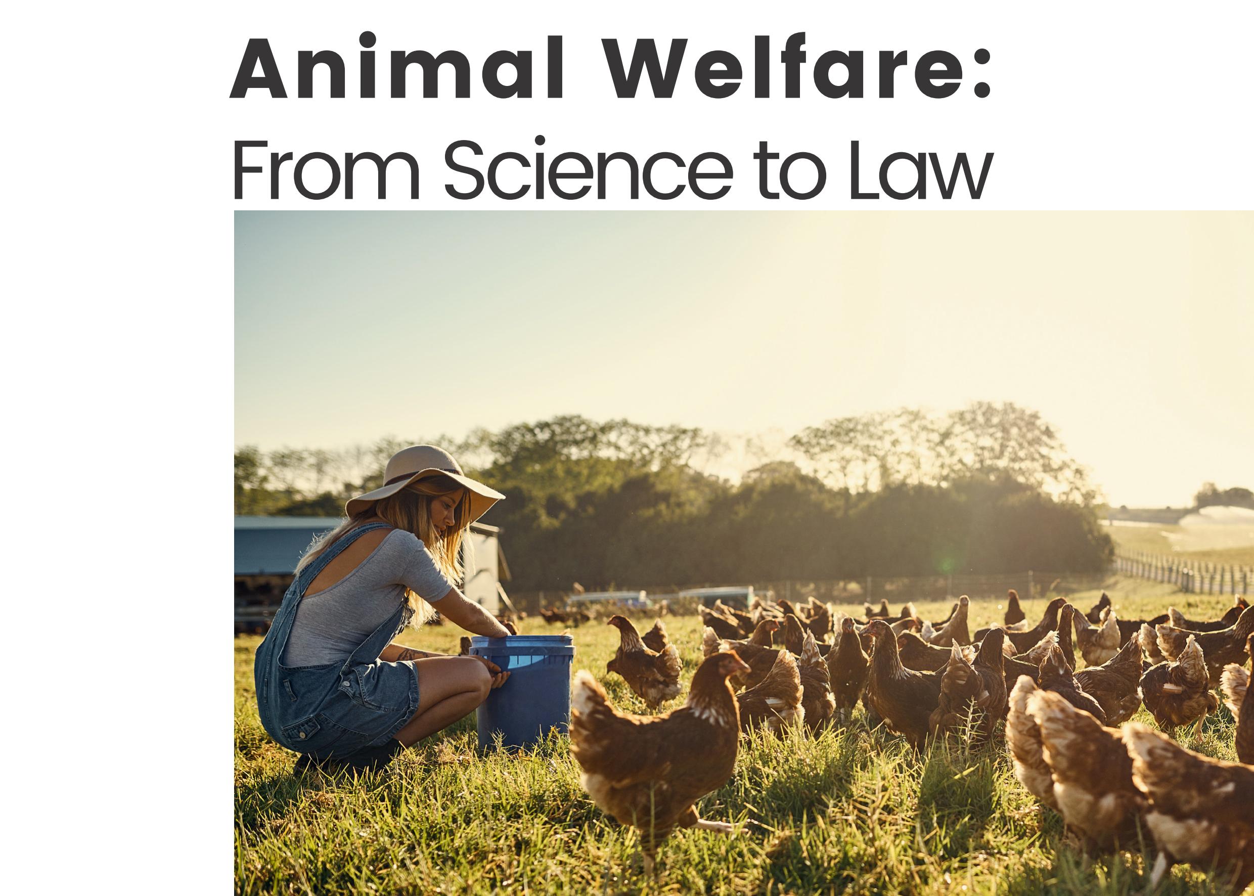 Animal Welfare From Science To Law