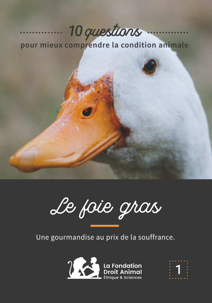 7 Pas de foie gras sans gavage