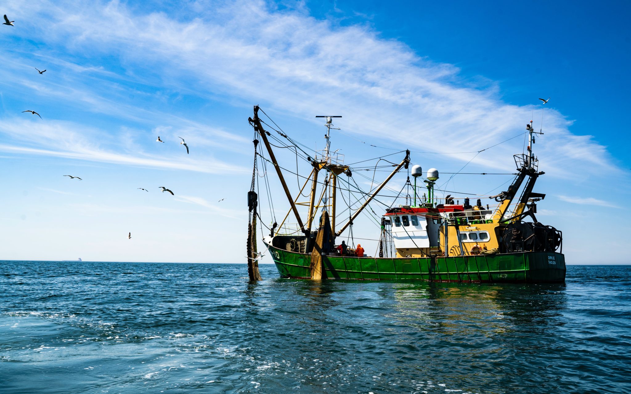 r-duire-les-souffrances-des-poissons-g-n-r-es-par-la-p-che-commerciale