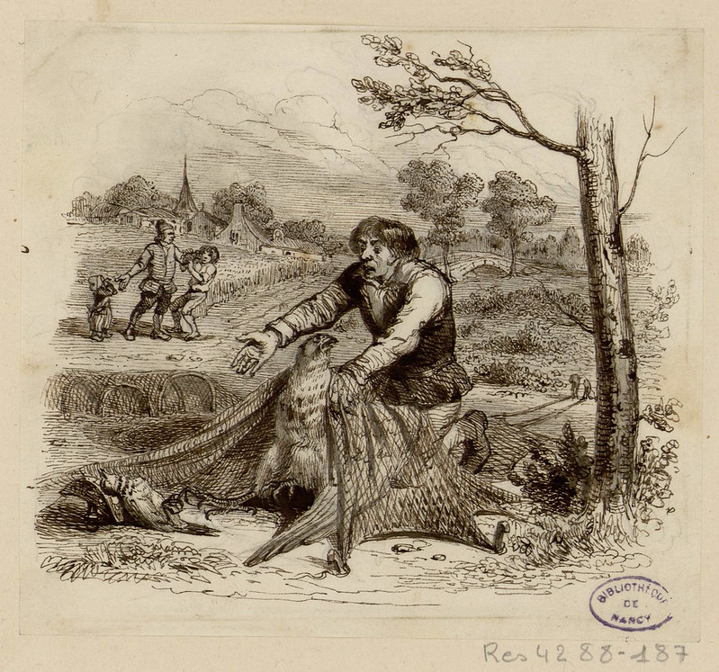 L'Oiseleur, l'autour et l'alouette, Jean de la Fontaine