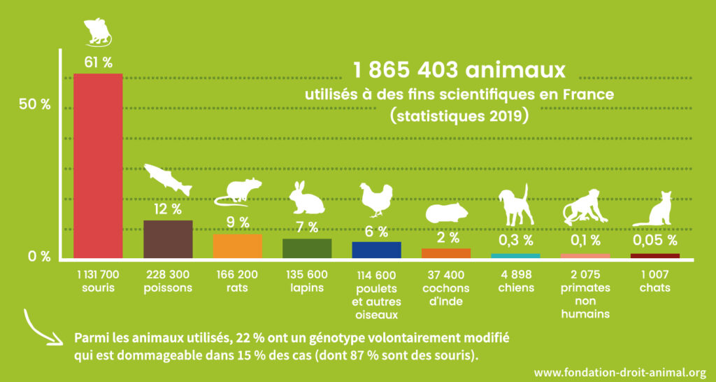 Statistiques des animaux utilisés pour la recherche