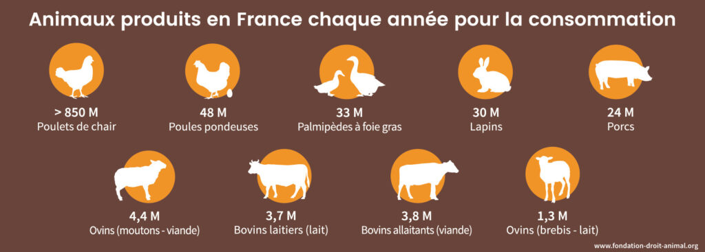 Animaux produits en France chaque année pour la consommation